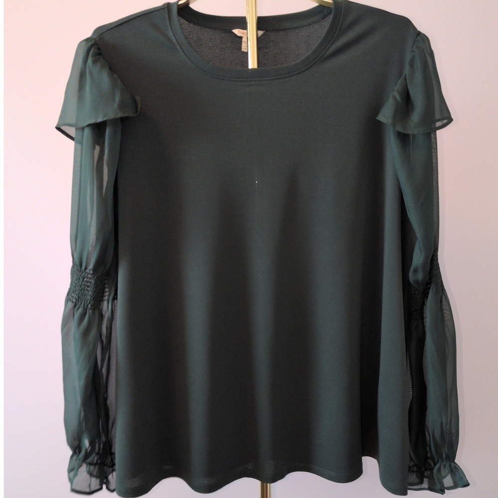 Plus Size Cato Blouse Women 18/20W Forest Green Sheer Smocked Puff Sleeve Ruffle